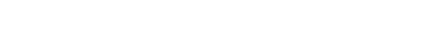 FilialNetz internetagentur